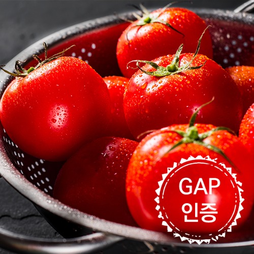 [과일 다판대] 매일 새벽배송 산지직송 단단하고 찰진 완숙 토마토 5kg 피부에좋은 리코펜성분 토마토