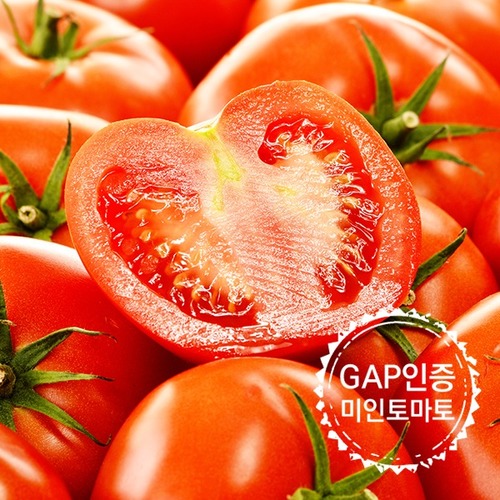 [과일 다판대] GAP 우수관리인증 매일 새벽배송 산지직송 단단하고 찰진 완숙 토마토 5KG 최저가 특가판매